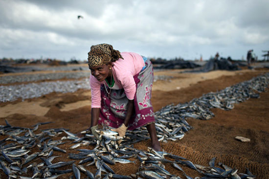 斯里兰卡9大浪漫旅行地