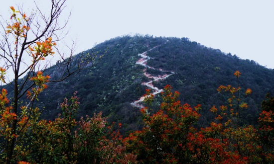 北山游步道游目骋怀 细品宁波悠然时光