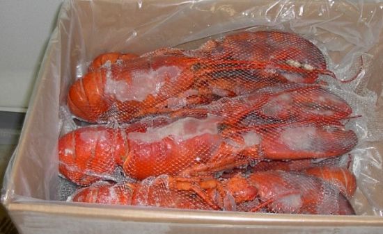 冻品海鲜图片_海鲜炒饭_海鲜冻货