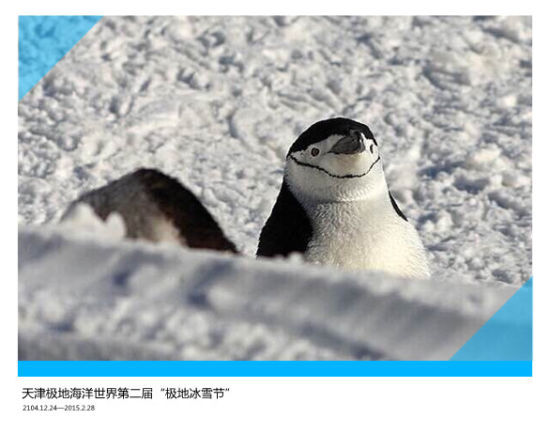 情人节怎么约 带你去看萌宠泡温泉可好(2)