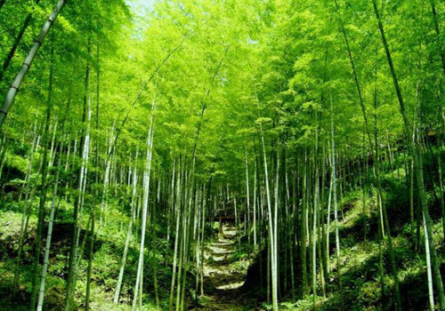 从南京出发来一次洗肺之旅(2)