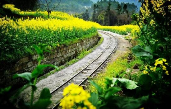 四月最美景观:嘉阳小火车