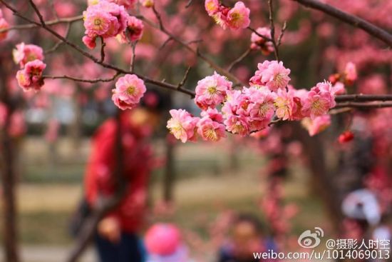 春暖花开约跑时 石家庄六大慢跑路线推荐