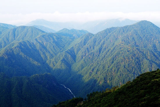 湖南春游好去处 郴州莽山