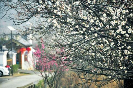 吃喝玩乐在身边 盘点南京周边最摆农家乐