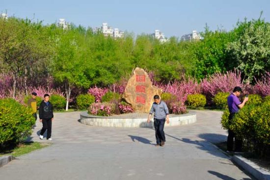 伊通河回忆岛  沿河西岸,向北前行,过了三孔石桥,便是湖心岛,一块