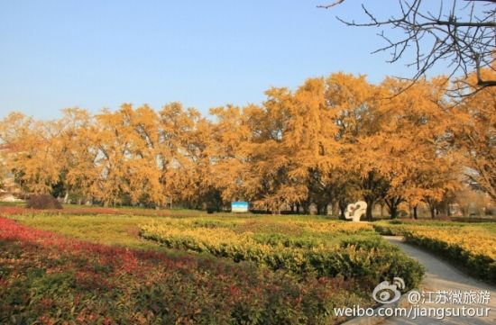 四季不同样 盘点南京周边最美人间地图(4)