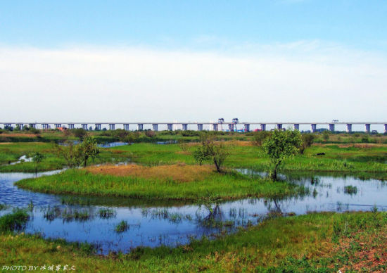 骑行去狗岛 快乐空气好(组图)