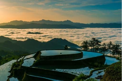 新化紫鹊界梯田全球认租米兰世博会首发