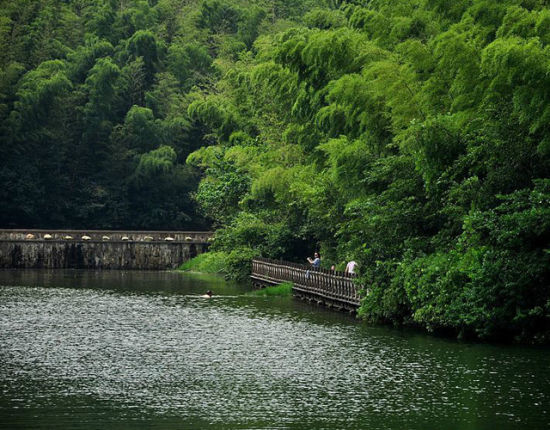 石塘竹海 小九寨里好乘凉