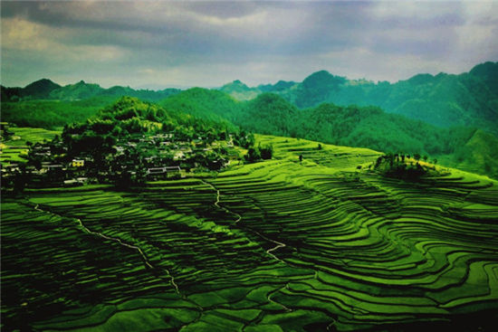 如果我老无所依 请把我丢在贵州乡村