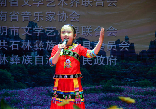 中国梦云南情石林杯 首届云南民族歌曲声乐大