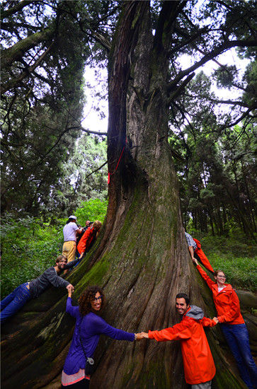 欧洲熊猫粉丝团到达广元青川巡游