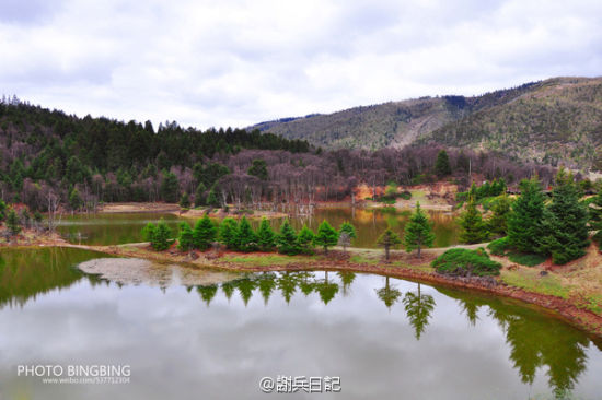 小小提示:如果遇到有松鼠在栈道上面,不要惊慌,以免惊扰到它,如果随身有食品,可以用吃的诱惑它,零距离接触,拍照都是可以的。 科普小知识:普达措在藏语中代表着神助乘舟到达湖的彼岸。普达措主要的景点有属都湖、碧塔海和高原牧场。属都湖又称属都岗湖,属都湖四面树木环绕。游览属都湖方式有二种:一种是花50元/人购买船票,在船上观赏两边的原始风光,二是沿湖边栈道,静闲游玩。 未知名的植物