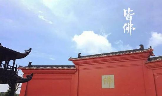 孟庭苇要来金佛山 唱响天籁梵音_新浪旅游_新