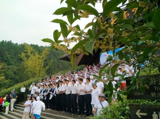 八月桂花遍地开 歌声唱响天堂寨_新浪旅游_新浪网