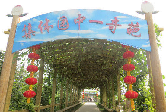 石家庄采摘好去处 美食美景色诱你