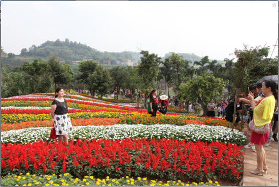 中秋国庆去重庆凤凰花海 免费观赏四季花卉