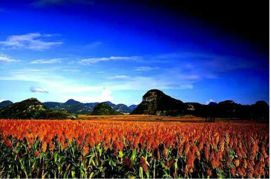 秋游云南八大景点推荐