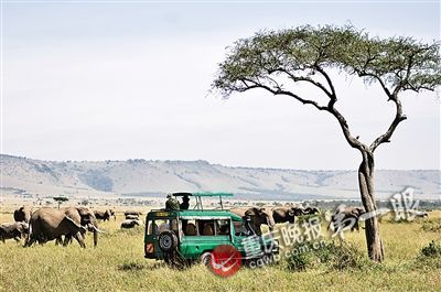 重庆小伙在肯尼亚开旅行社 实用肯尼亚旅游建