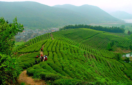 宁波美丽乡村 象山泗洲头镇