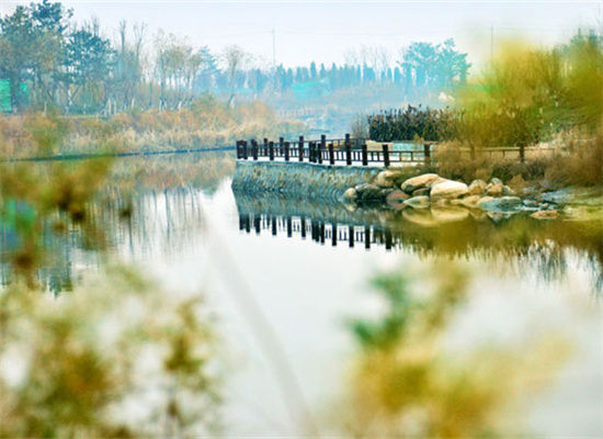 生态城慧风溪公园(图源:网络)