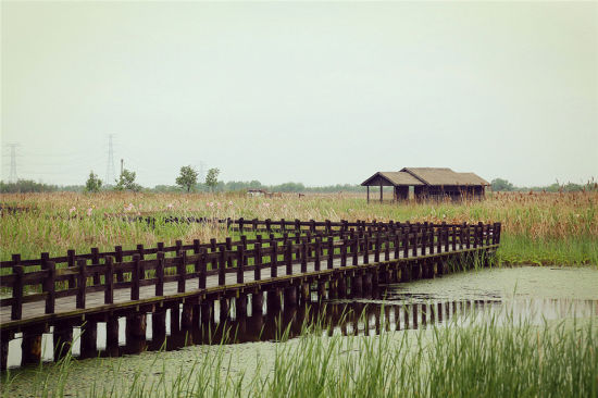 杭州湾湿地公园