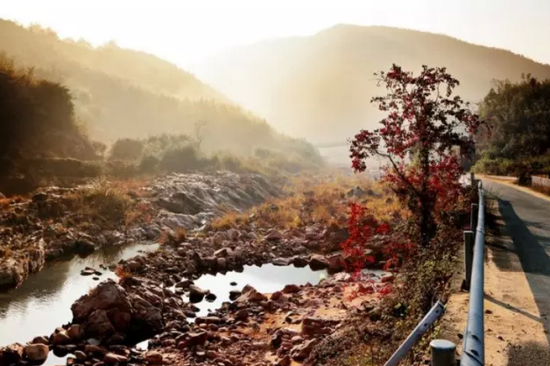 奉化大堰