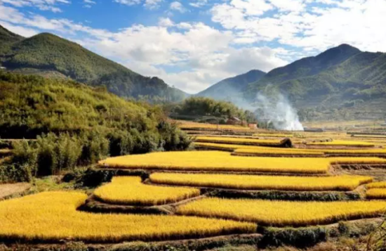 奉化大堰