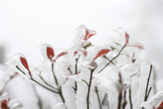 寒冷冬天也有好风景 江西冬季六大好玩好耍好
