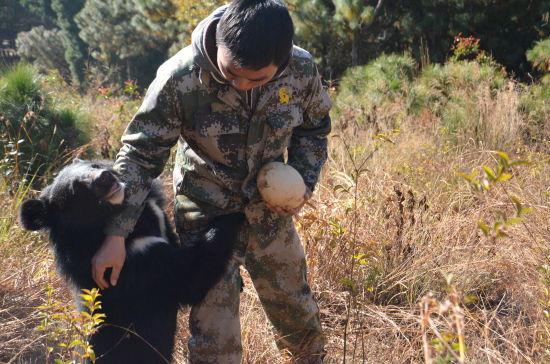 野生动物园圣诞元旦寻蛋大会 小黑熊获桂冠
