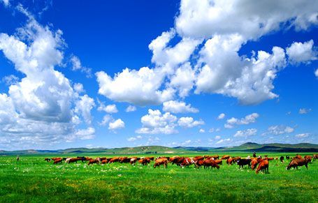 西藏特色旅游 包车出行受大众追捧