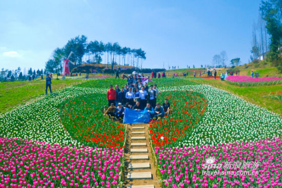 继续举办2016中国最美油菜花海汉中旅游文化节,节会的主题是"金色花海