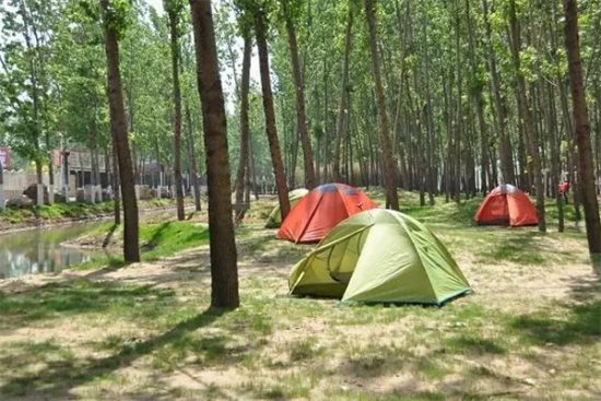 森林氧吧露營基地