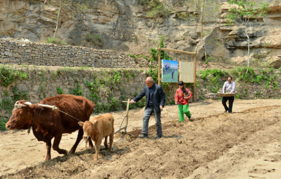 ǧ��Ŵ�������