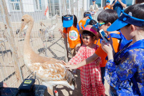 我与小鹤做朋友亲子夏令营完美收官