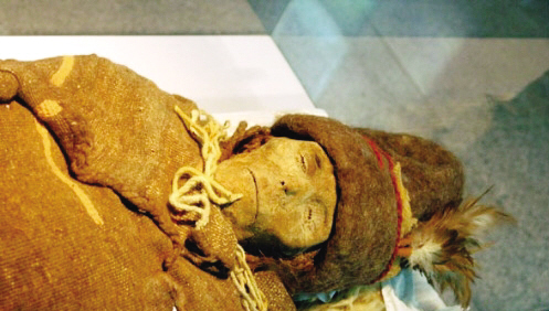 楼兰美女巡游宝岛