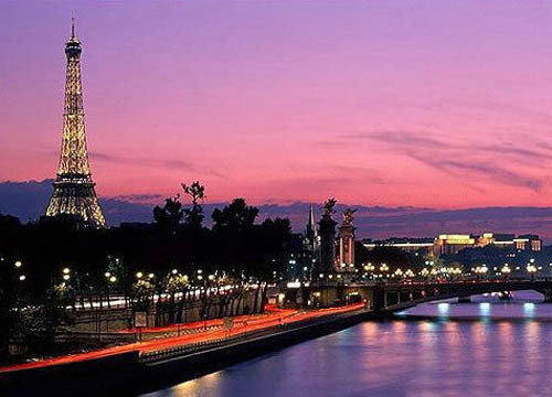 欧洲 法国 巴黎 正文    黄色的金盏花,配紫色的鸢尾花,带着戏剧张力