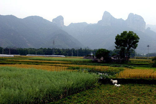 游走楠溪江畔古村落 感受芙蓉出水之美(组图)(