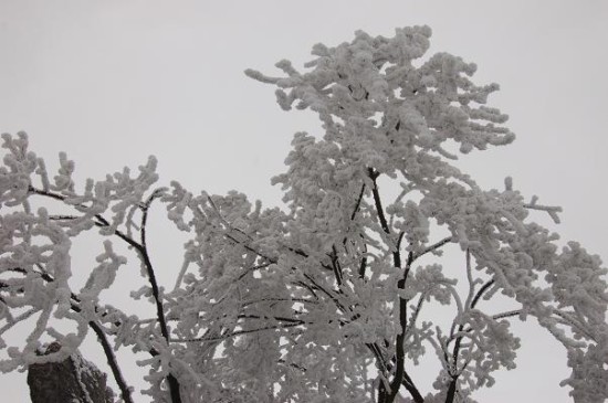 华蓥瑞雪兆丰年 美景添满英雄山