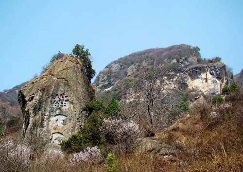 神木花石崖人口碑_神木市花石崖镇地图(2)