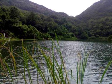 龙池山风景区