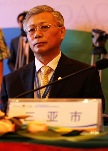 三亚市人民政府市长王勇