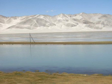 宁夏沙湖:飞鸟与鱼的天堂(图)