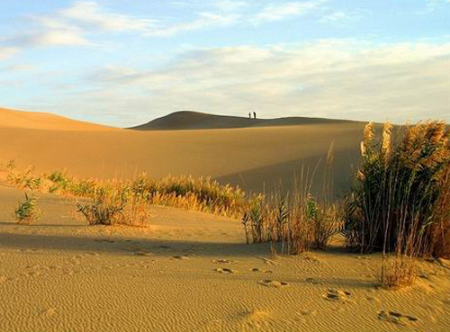 6 中国最大的沙漠 :新疆维吾尔族自治区塔克拉玛干