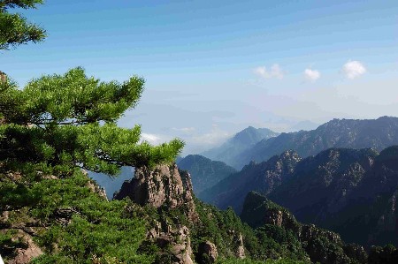 上海出发黄山宏村五日游全攻略(图)