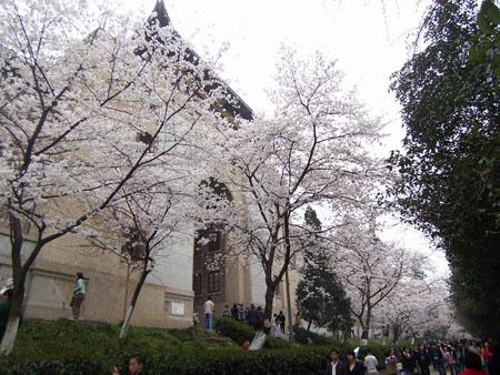 武汉大学