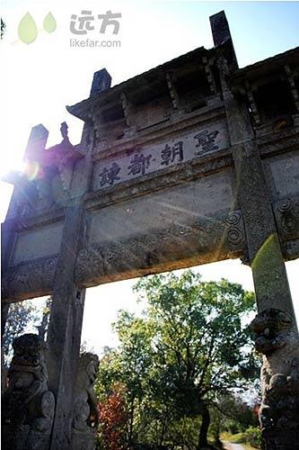 ${长标题}