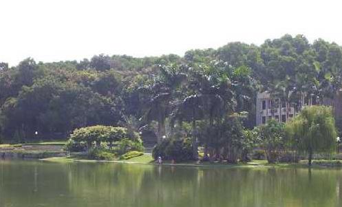 ��(d��)����