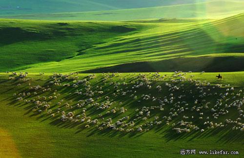 绚丽草原 作者:火烧木